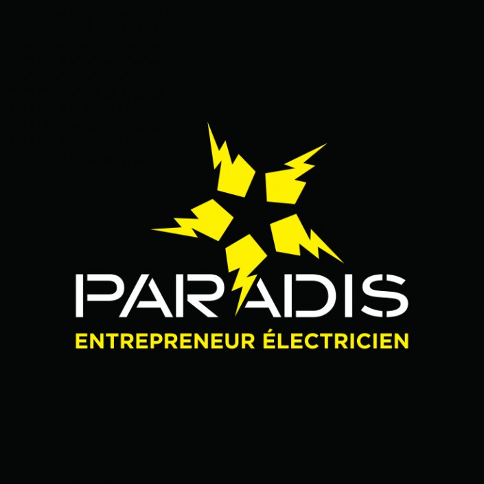 Paradis entrepreneur électricien